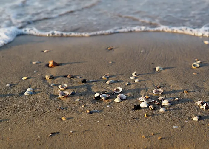 Sunny Terrace And Modern Comforts By The Pool * Bibione
