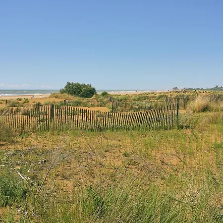 Luminous With Terrace - Beahost